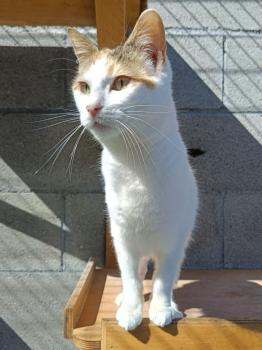 Muneca Bild von Muneca