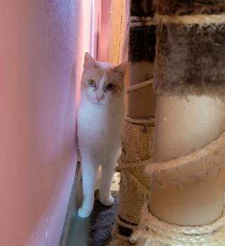 Snowi Bild von Snowi