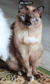 Bild von Sara