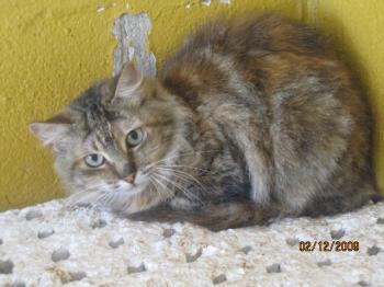 Ohne Bild von Serafina