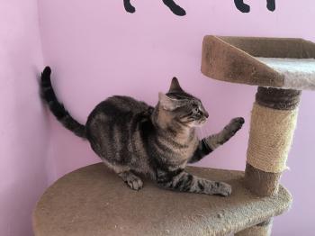 Lilly Bild von Lilly