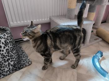Lilly Bild von Lilly