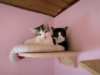 Mascha Bild von Mascha