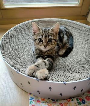 Bild von Zoe