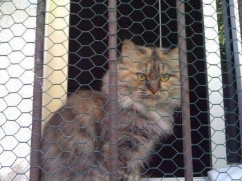 Cloe Bild von Cloe