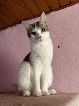 Mascha Bild von Mascha