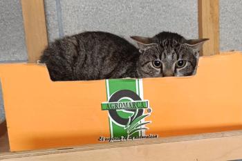 Zazpi Bild von Zazpi