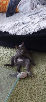 Jana Bild von Jana