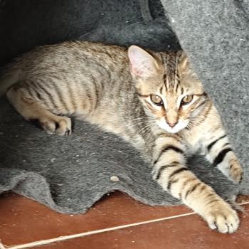 Junior Bild von Junior
