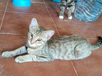 Junior Bild von Junior