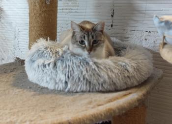 Freia Bild von Freia