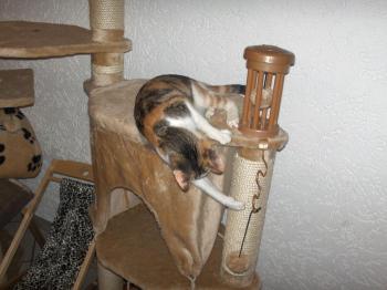 Frida Bild von Frida
