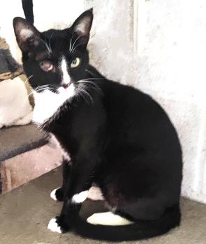 Bild von Balu