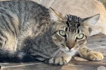 Prinz Bild von Prinz