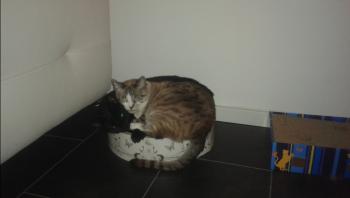Bild von Mina