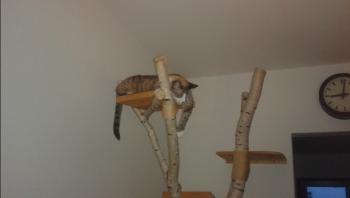 Bild von Mina