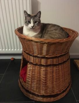 Bild von Mina