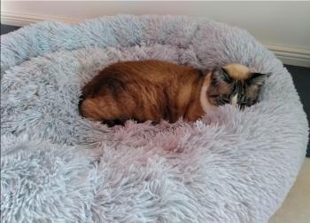 Bild von Mina
