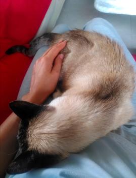 Bild von Mina