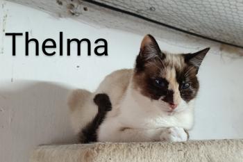 Thelma Bild von Thelma