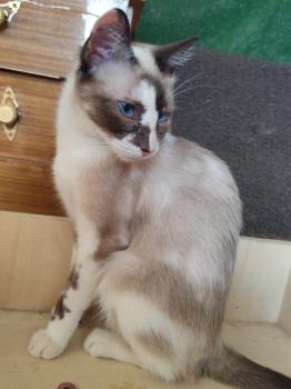 Thelma Bild von Thelma