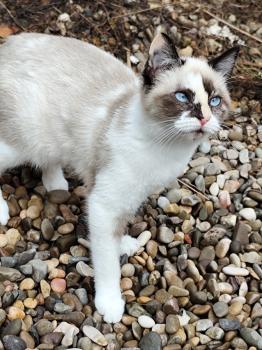 Thelma Bild von Thelma