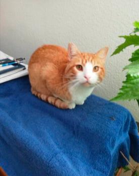 Andrew Bild von Andrew