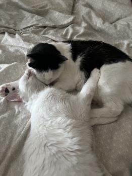 Iglu Bild von Iglu