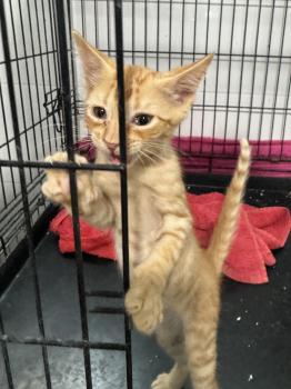 Micho Bild von Micho