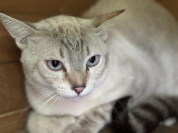 Luffy Bild von Luffy