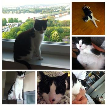 Bruce Bild von Bruce