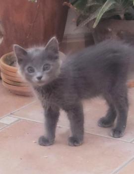 Neni Bild von Neni