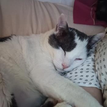 Timbo Bild von Timbo