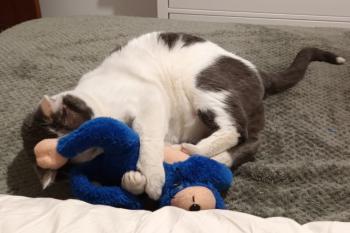 Timbo Bild von Timbo