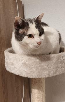 Timbo Bild von Timbo