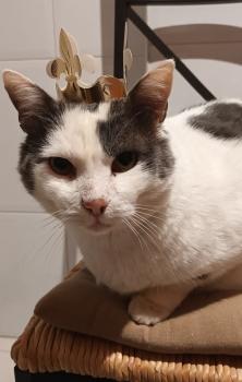 Timbo Bild von Timbo