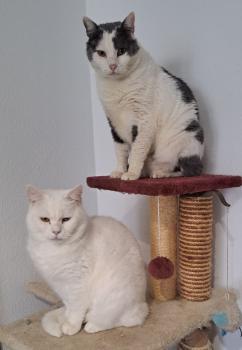 Timbo Bild von Timbo