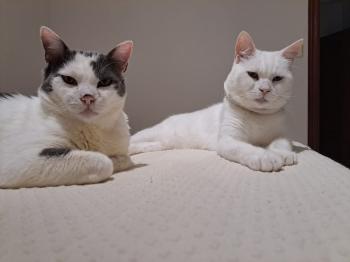 Timbo Bild von Timbo