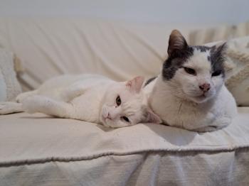 Timbo Bild von Timbo