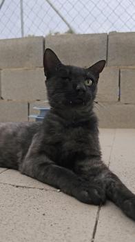 Mitty Bild von Mitty