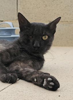 Mitty Bild von Mitty