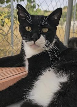 Smoking Bild von Smoking