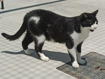 Bild von Katmandu