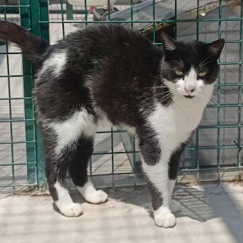 Bild von Katmandu