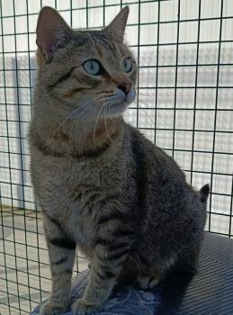 Blasete Bild von Blasete