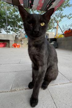 Mitty Bild von Mitty