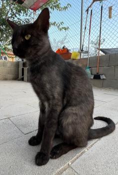 Mitty Bild von Mitty