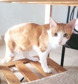 Solaris Bild von Solaris