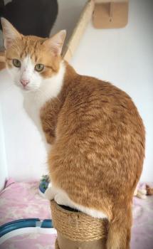 Solaris Bild von Solaris