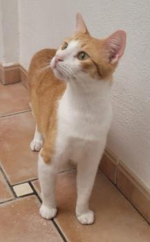 Solaris Bild von Solaris